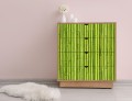 ZIELONY BAMBUS naklejka laminowana ochronna