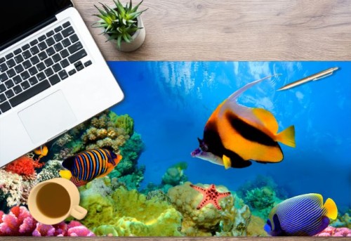 Mata antypoślizgowa ochronna na biurko rybki rafa ryby