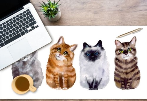 Mata antypoślizgowa na biurko kotki koteczki