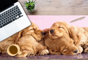 MATA podkładka ochronna na biurko z IKEA MALM słodkie pieski