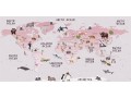 MATA ochronna na biurko z IKEA MALM różowa mapa świata