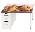 Ochronna podkładka na biurko ikea micke SŁODKIE PSIAKI PIESKI