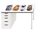 Ochronna podkładka na biurko z IKEA MICKE KOTY KOTKI