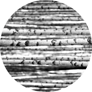 MATA POD KRZESŁO OCHRONNA okrągła PIEŃ BRZOZY DRZEWA