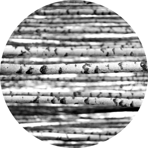 MATA POD KRZESŁO OCHRONNA okrągła PIEŃ BRZOZY DRZEWA