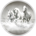 PODŁOGOWA MATA POD KRZESŁO FOTEL OKRĄGŁA KONIE GALOP