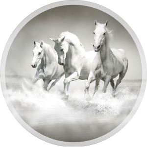 PODŁOGOWA MATA POD KRZESŁO FOTEL OKRĄGŁA KONIE GALOP