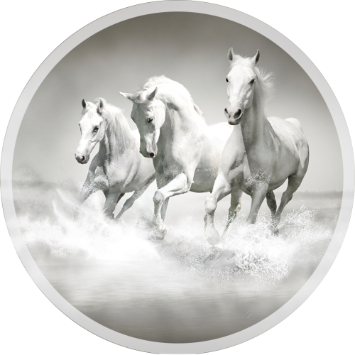 PODŁOGOWA MATA POD KRZESŁO FOTEL OKRĄGŁA KONIE GALOP