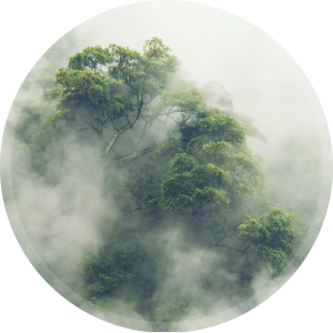 PODKŁADKA OKRĄGŁA MATA OCHRONNA MGLISTY LAS