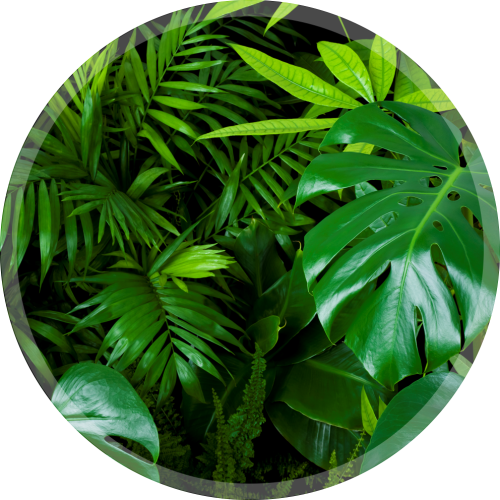 OCHRONNA MATA POD KRZESŁO FOTEL OKRĄGŁA MONSTERA LIŚĆIE