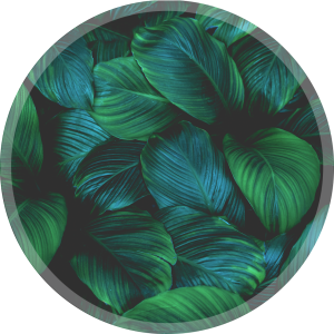 OCHRONNA MATA POD KRZESŁO FOTEL OKRĄGŁA TROPIKALNE LIŚCIE