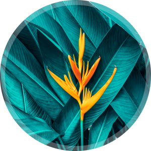 OCHRONNA PODKŁADKA POD FOTEL OKRĄGŁA TURKUSOWA KWIAT