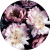 mo108.png