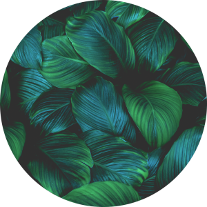 OKRĄGŁA MATA OCHRONNA POD FOTEL KRZESŁO LIŚCIE TROPIKI