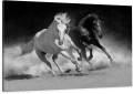 Obraz  KONIE GALOP na płótnie canvas obraz czarno biały