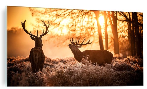 FOTO OBRAZ NA SZKLE SZKLANY DO SALONU JELEŃ LAS NATURA