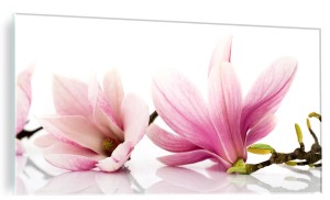 OBRAZ ZE SZKŁA HARTOWANEGO SZKLANY magnolia kwiaty kwiat