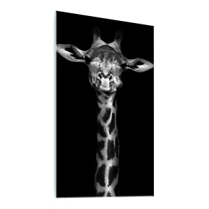NOWOCZESNY OBRAZ SZKLANY na ścianę czarno biały ŻYRAFA