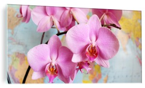 NOWOCZESNY OBRAZ SZKLANY na ścianę RÓŻOWY STORCZYK