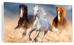 OBRAZ SZKLANY ŚCIENNY DO SALONU KONIE GALOP 