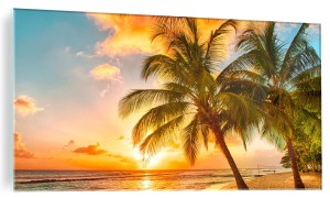 FOTO OBRAZ SZKLANY NA ŚCIANĘ ZACHÓD SŁOŃCA PALMY