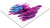 A19.png