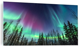 NOWOCZESNY FOTO OBRAZ NA SZKLE ZORZA LAS