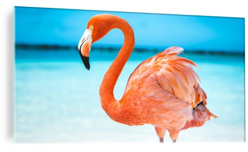 FOTO OBRAZ ZE SZKŁA DO SYPIALNI FLAMING NA PLAŻY 
