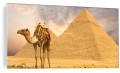 OBRAZ ZE SZKŁA SZKLANY WIELBŁĄD PIRAMIDY EGIPT