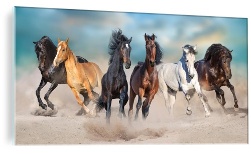 OBRAZ ZE SZKŁA SZKLANY DO SALONU KONIE GALOP PLAŻA