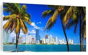 OBRAZ NA SZKLE SZKLANY PALMY FLORYDA WIDOK 