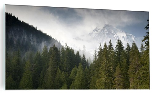 OBRAZ NA SZKLE SZKLANY MGLISTY LAS MGŁA GÓRY