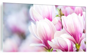 OBRAZ NA SZKLE SZKLANY DO SALONU MAGNOLIE KWIATY