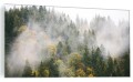 OBRAZ NA SZKLE SZKLANY DO SALONU LAS DRZEWA MGŁA NATURA