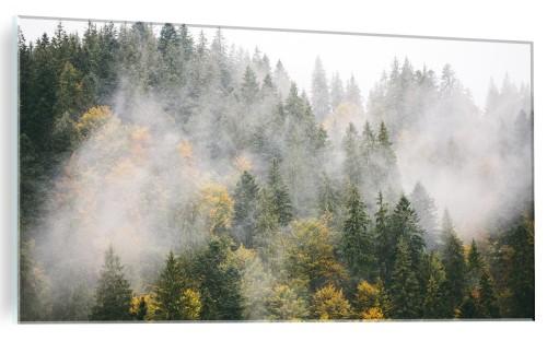 OBRAZ NA SZKLE SZKLANY DO SALONU LAS DRZEWA MGŁA NATURA