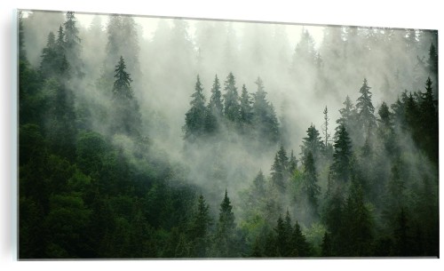 SZKLANY FOTO OBRAZ LAS NATURA MGŁA DRZEWA DO SALONU