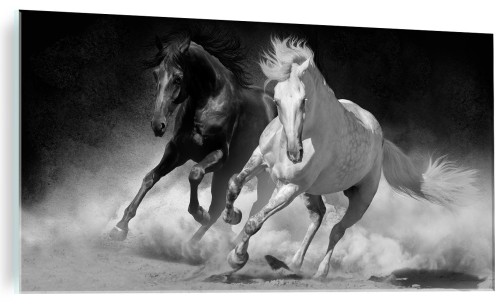 OSZ-2143.jpg