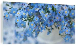NOWOCZESNY OBRAZ SZKLANY NIEZAPOMINAJKI KWIATY