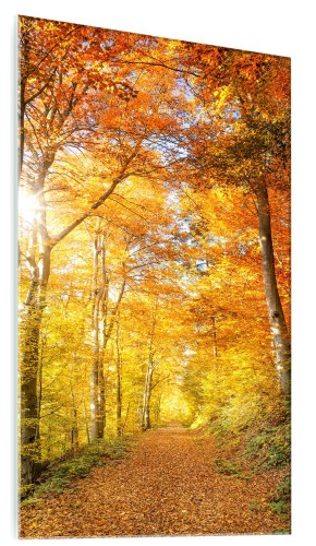 OBRAZ SZKLANY DO SALONU JESIENNY KRAJOBRAZ DRZEWA