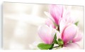 ELEGANCKI FOTO OBRAZ NA SZKLE DO SALONU KWIATY MAGNOLII