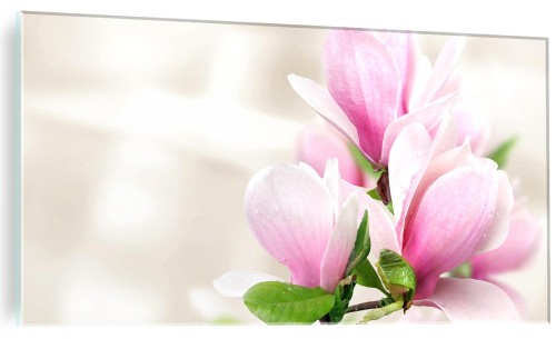 ELEGANCKI FOTO OBRAZ NA SZKLE DO SALONU KWIATY MAGNOLII