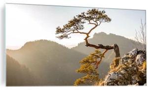 ŚCIENNY FOTO OBRAZ SZKLANY Sokolica Pieniny szczyt góry