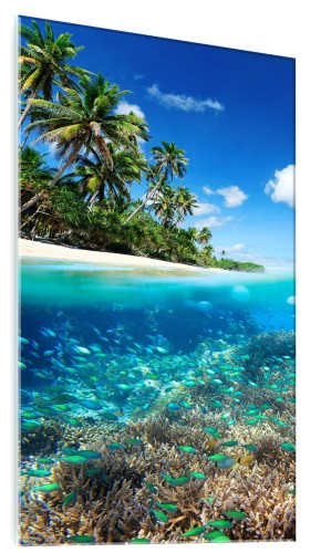 Obraz na szkle szklany do salonu RAFA KORALOWA OCEAN 