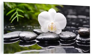 Nowoczesny obraz na szkle Biała Orchidea kamienie zen spa