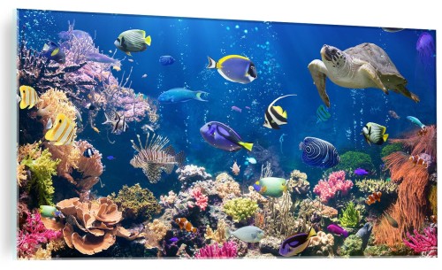 Obraz na szkle szklany PODWODNY ŚWIAT OCEAN RYBY