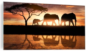Obraz na szkle szklany SAWANNA SŁONIE AFRYKA SAFARI
