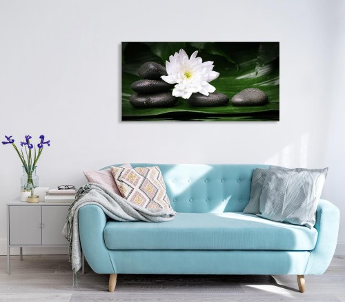 OSZ-2325w.jpg