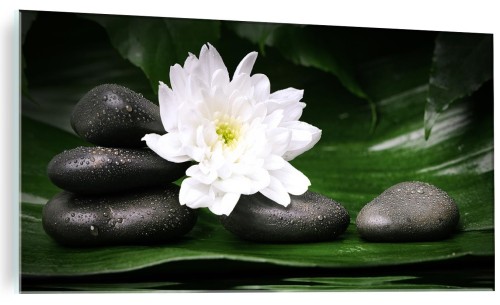 Obraz na szkle szklany KAMIENIE ZEN KWIAT SPA