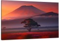 Obraz na płótnie canvas do salonu KRAJOBRAZ WULKAN DRZEWO