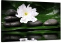 DUŻY Obraz na płótnie KAMIENIE ZEN KWIAT SPA 